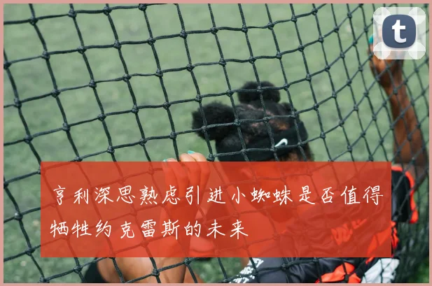 亨利深思熟虑引进小蜘蛛是否值得牺牲约克雷斯的未来